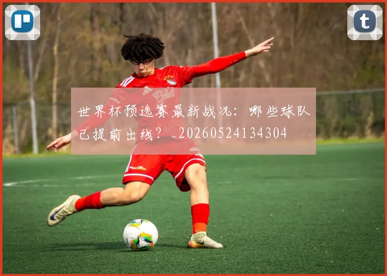 世界杯预选赛最新战况：哪些球队已提前出线？_20260524134304