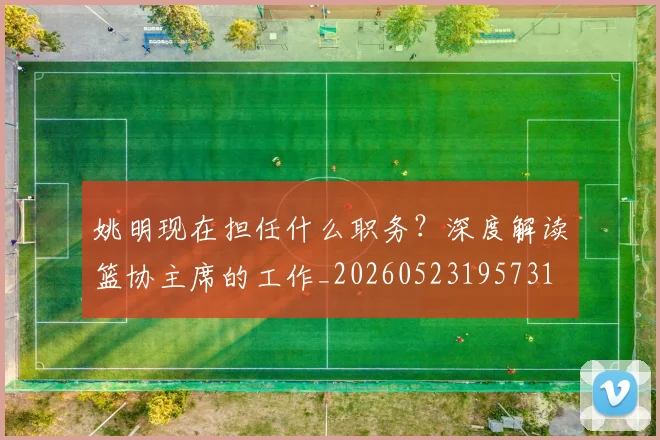 姚明现在担任什么职务?深度解读篮协主席的工作_20260523195731